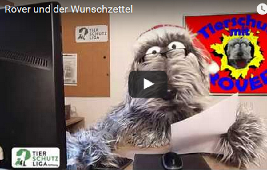 beitragsbild_-weihnachtswunsch1