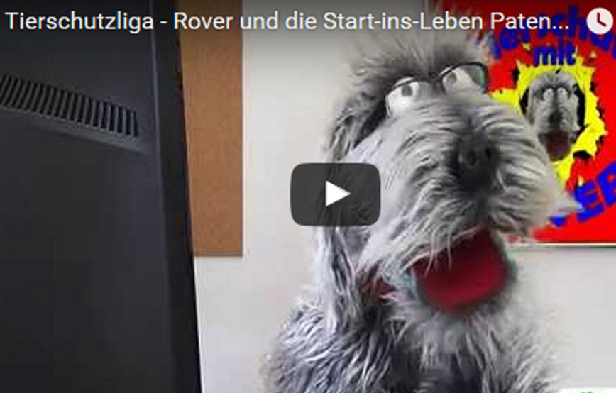 beitragsbild_roverundstart1