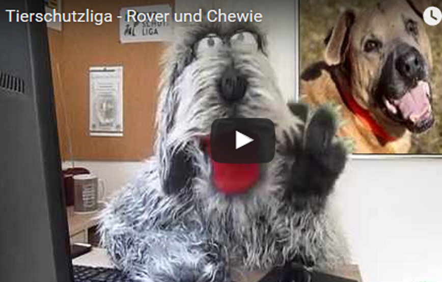 beitragsbild_roverundchewie1