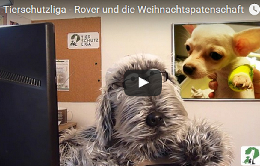 beitragsbild_weihnachtspaten