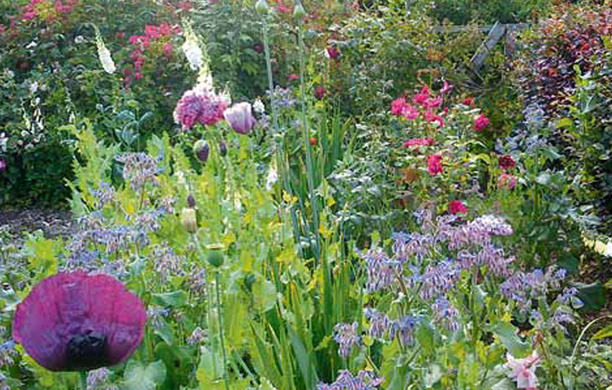 Beitragsbild_Artikel3