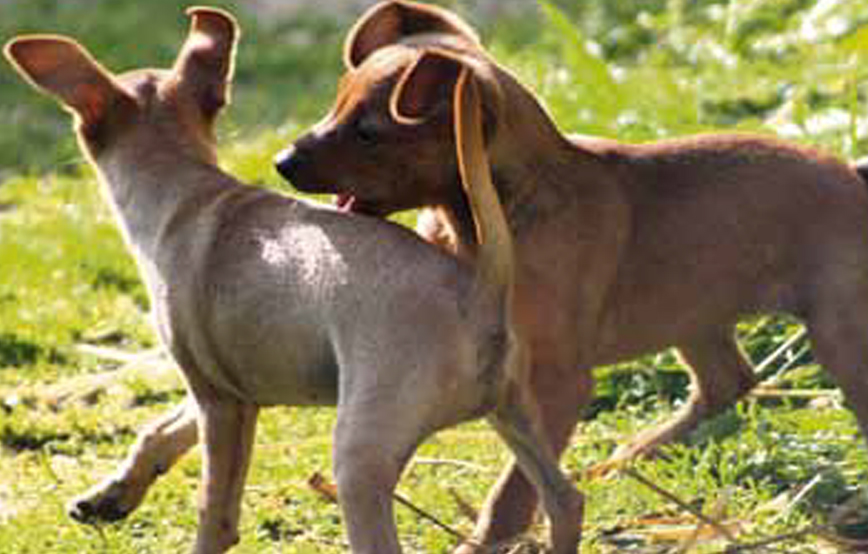 Beitragsbild_Artikel5