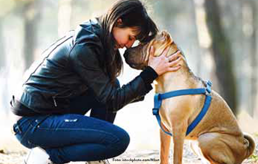 Beitragsbild_Artikel7