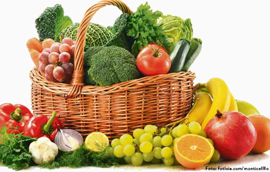 beitragsbild gezielt spenden tierschutzliga