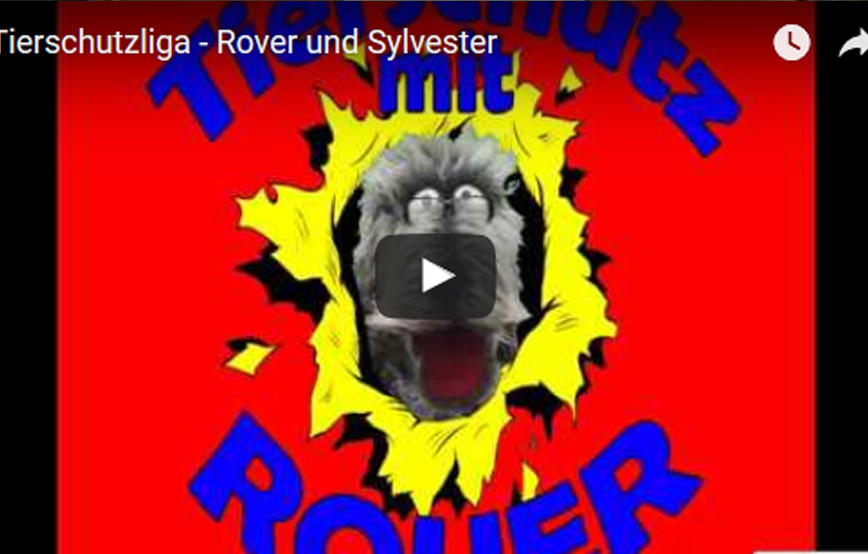 beitragsbild_roverundsylvester