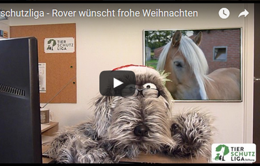 beitragsbild_roverundweihnachten
