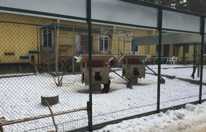 Katzengehege winter schnee Tierschutzligadorf