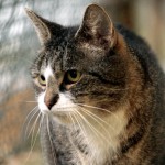 Stern_K022_15_201509-2