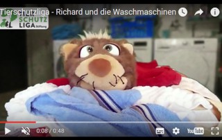 beitragsbild_richardunddiewaschmaschinen