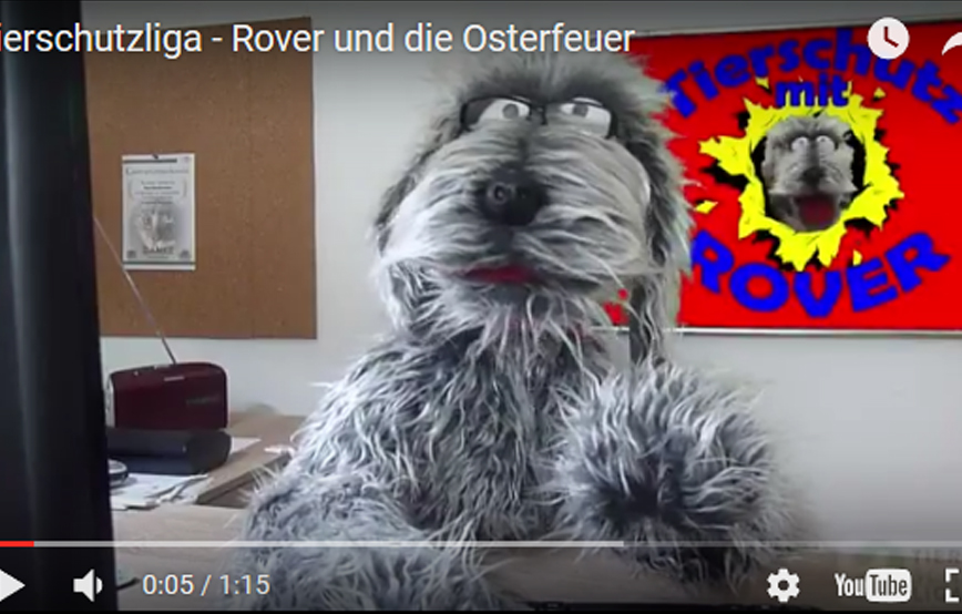 beitragsbild rover osterfeuer tierschutzliga