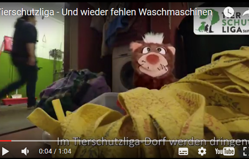 beitragsbild waschmaschinen richard tierschutzliga dorf