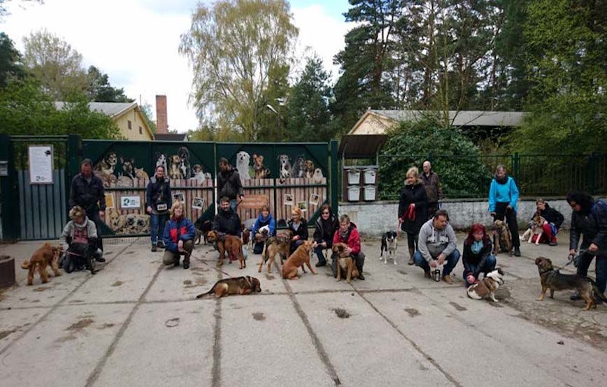 Hundewanderung 2017 Gruppenfoto