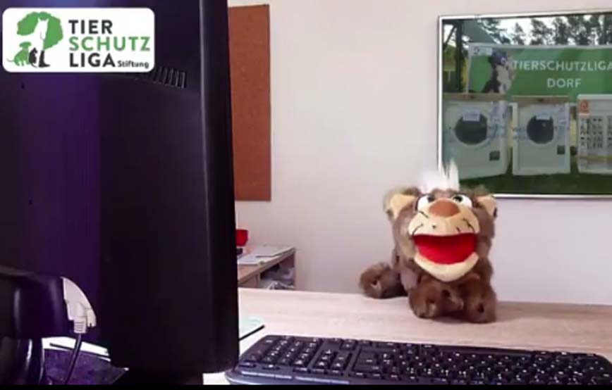 beitragsbild richard waschmaschinen danke tierschutzliga dorf