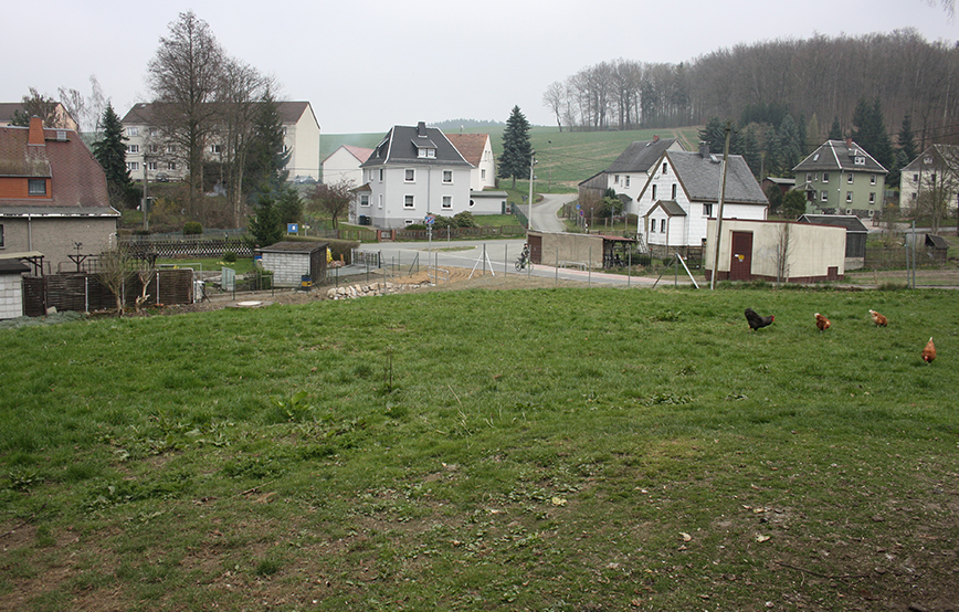 beitragsbild zaun auslauf wiese unterheinsdorf-IMG_4492
