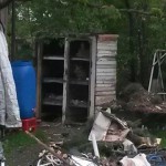 kaninchen garten verwahrlost tierschutzliga dorf