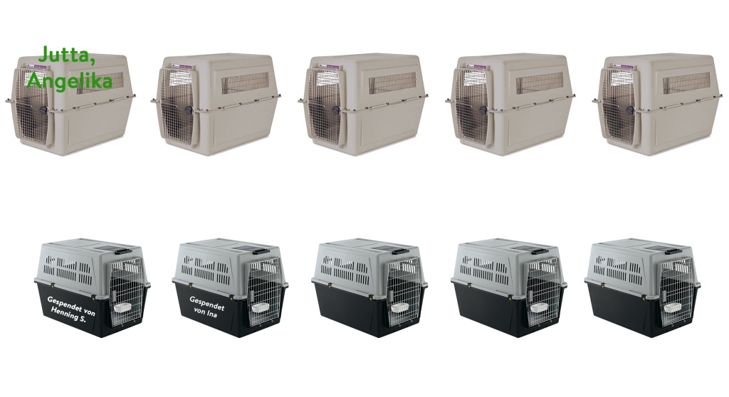 transportboxen 15.05