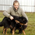 Gelbbacke bella wird von frau gestreichelt