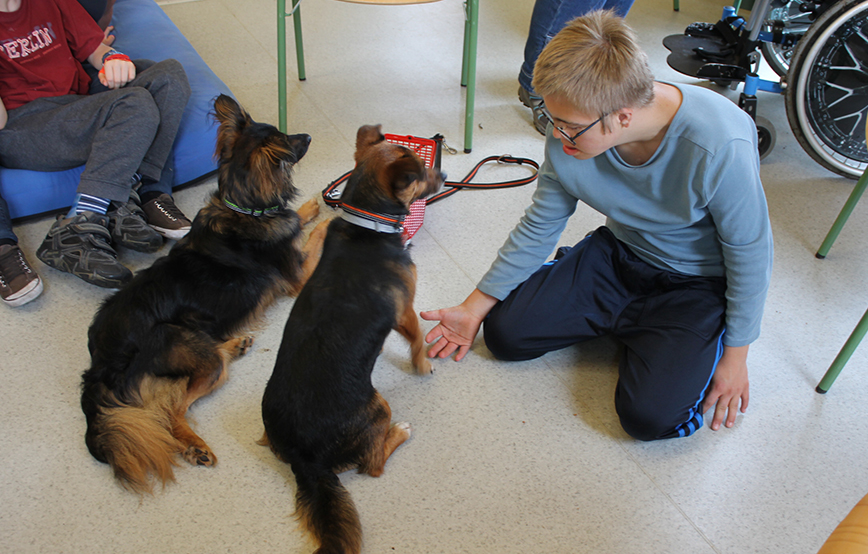 beitragsbild therapie hunde junge spielen