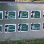 beitragsbild zaun hundeauslauf spender andenken