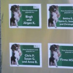 zaun hundeauslauf spender