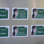 zaun hundeauslauf spender bedanken