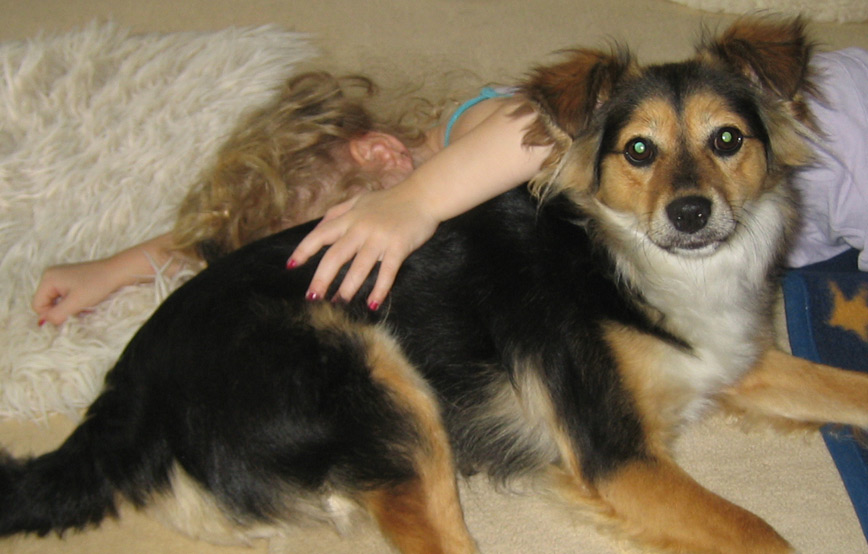 Hund tara liegt mit kind auf dem boden