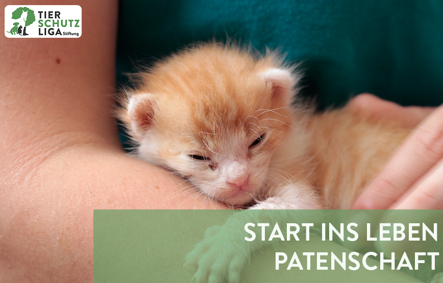 projekt beitragsbild start ins leben neu