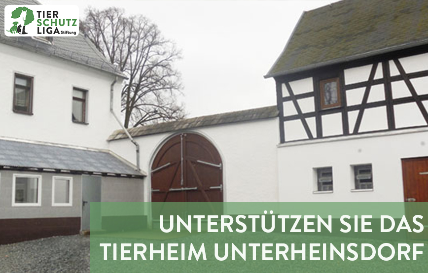 projekt beitragsbild tierheim unterheinsdorf neu