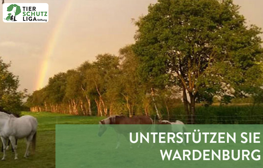 projekt beitragsbild tierschutzhof wardenburg neu