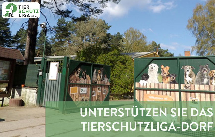 projekt beitragsbild tierschutzliga dorf neu