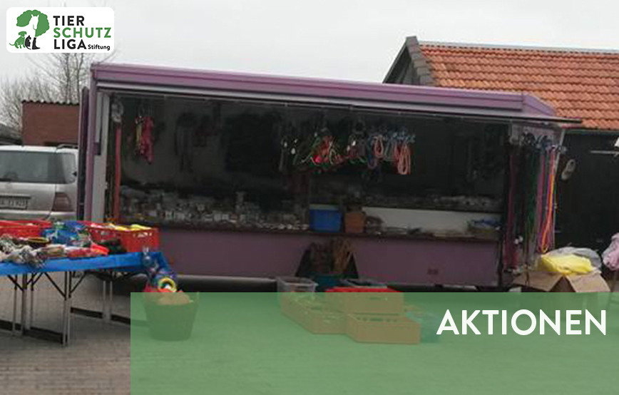 beitragsbild aktionen