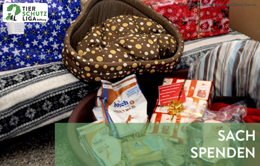 beitragsbild sachspende