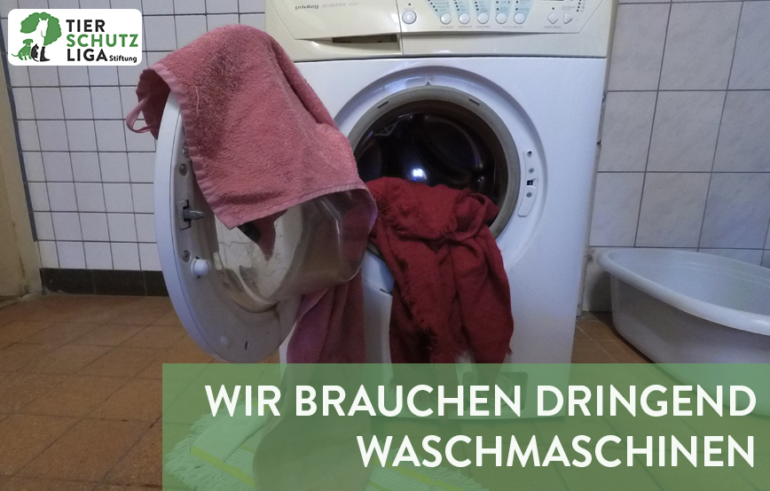 beitragsbild waschmaschinen