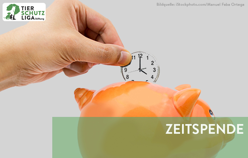 beitragsbild zeitspende